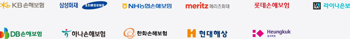 손해보험사
